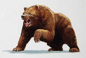 top stocks in bear market